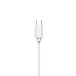 Philips TAE2146 Wired Earphone With Mic USB Type-C Connector In Ear - White