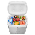 Tank Ice Box 23 L - Silver