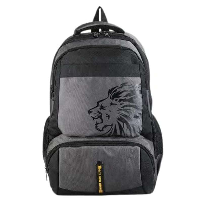 Generic Bag Laptop Back 506 - Gray