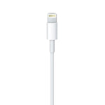 Apple Cable Lightning To Type-C A2441 2M