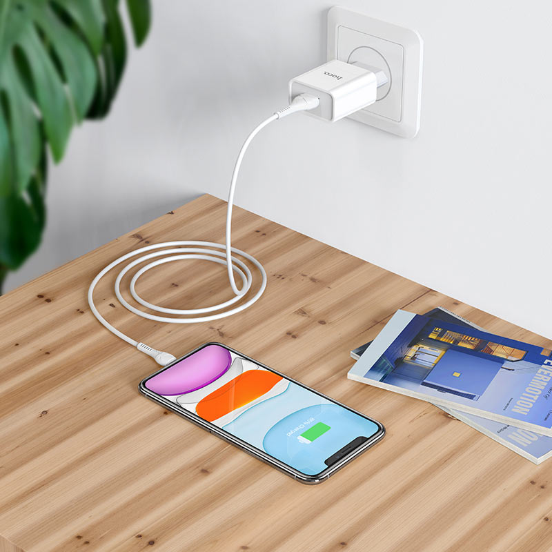 HOCO C81A Asombroso Home Charger .1A  - White