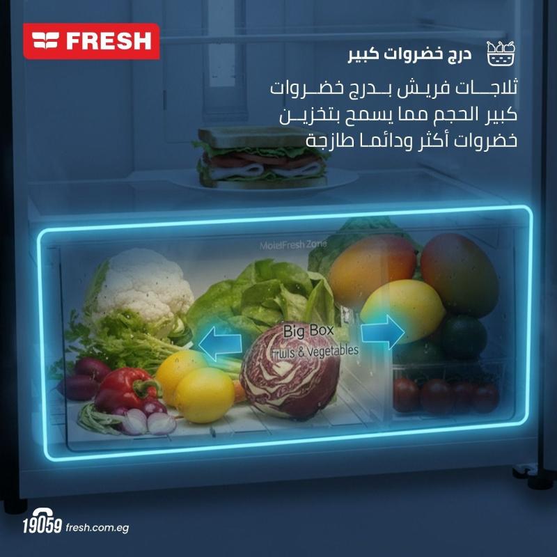 فريش ثلاجة 329 لتر منصهر تلقائي رقمية FNT-BS370KT