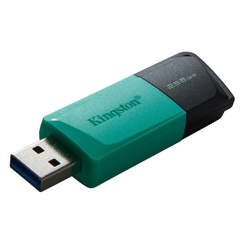 Kingston Flash 256GB USB 3.2 DTX