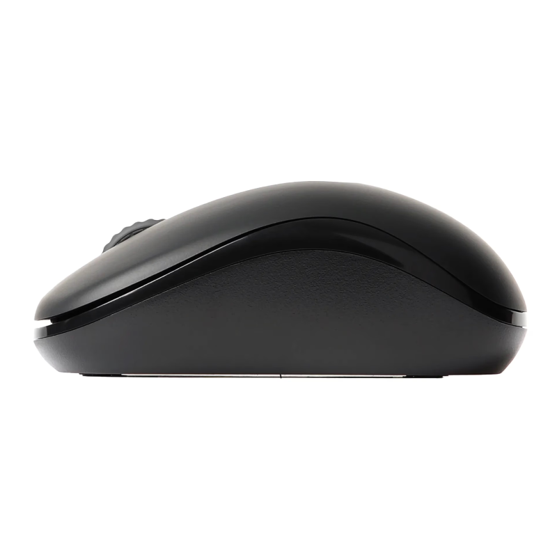 Rapoo M10 plus Wireless Optical Mouse - Black