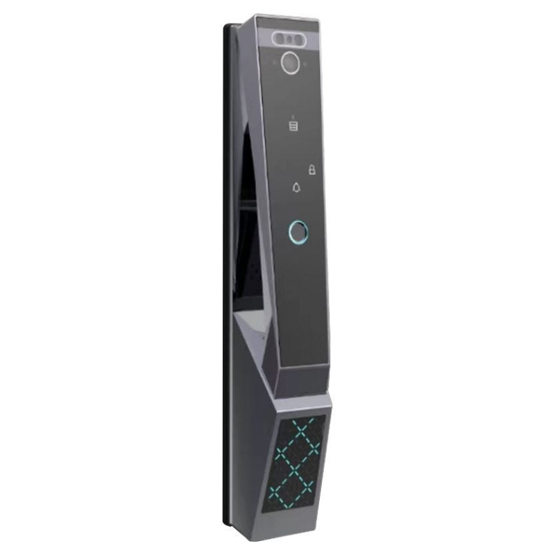 Lezn R9 Face Version Smart Door Lock With Fingerprint - Black 