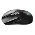 Rapoo V300L Dual-Mode Gaming Mouse - Black
