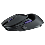 Rapoo VT960 PRO Wireless Gaming Mouse - Black 