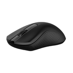Rapoo B20 Silent Wireless Mouse - Black